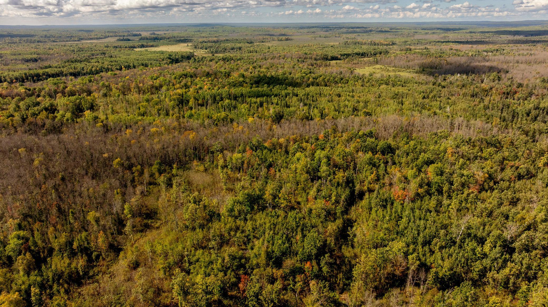 44047 Little Pine Road 568 Acres Property Photo 60