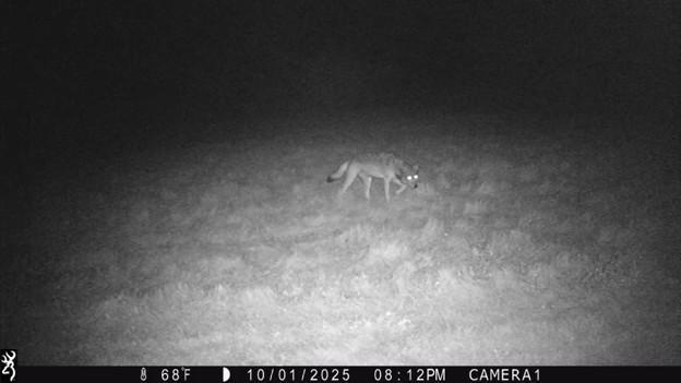44047 Little Pine Road 568 Acres Property Photo 90