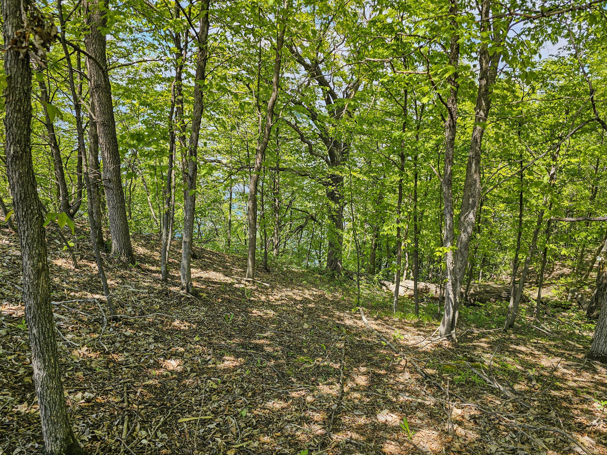 344xx 452nd St [a4] Property Photo 13