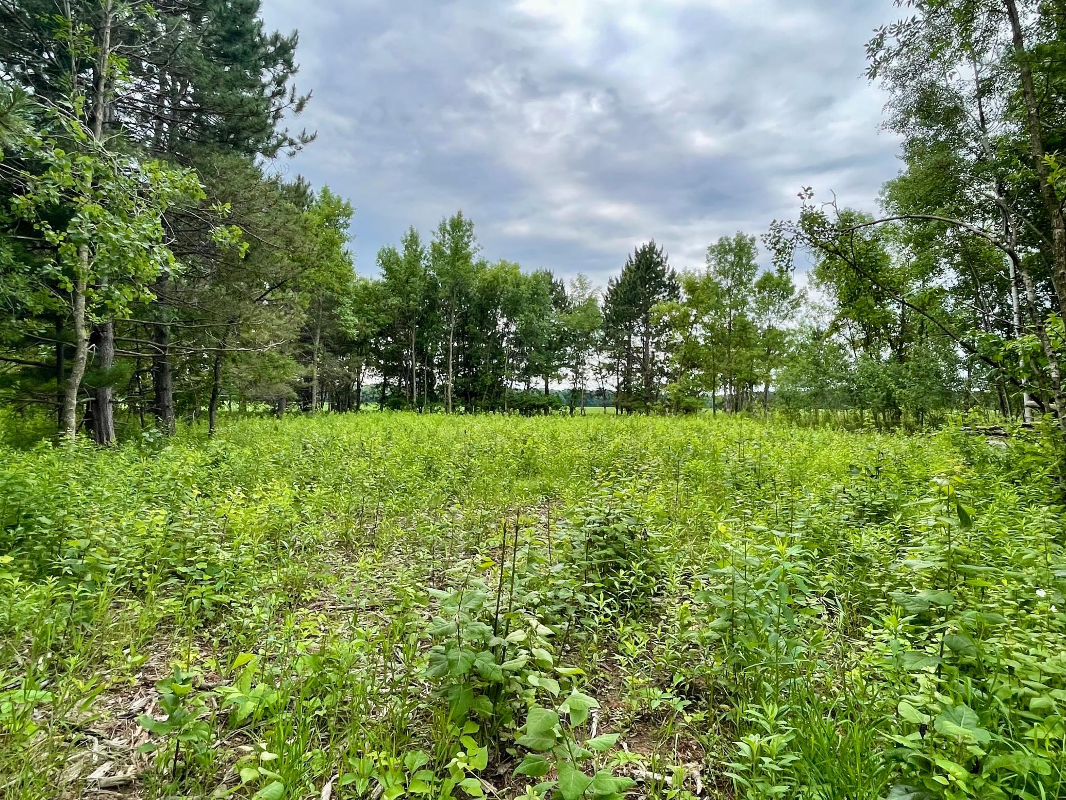 Tbd Pacer Drive Property Photo 1