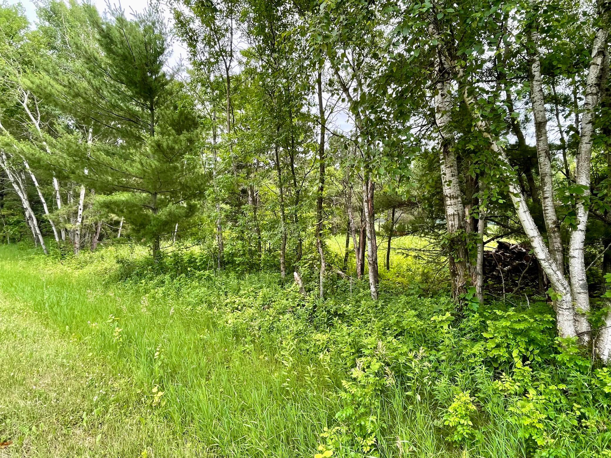 Tbd Pacer Drive Property Photo 2
