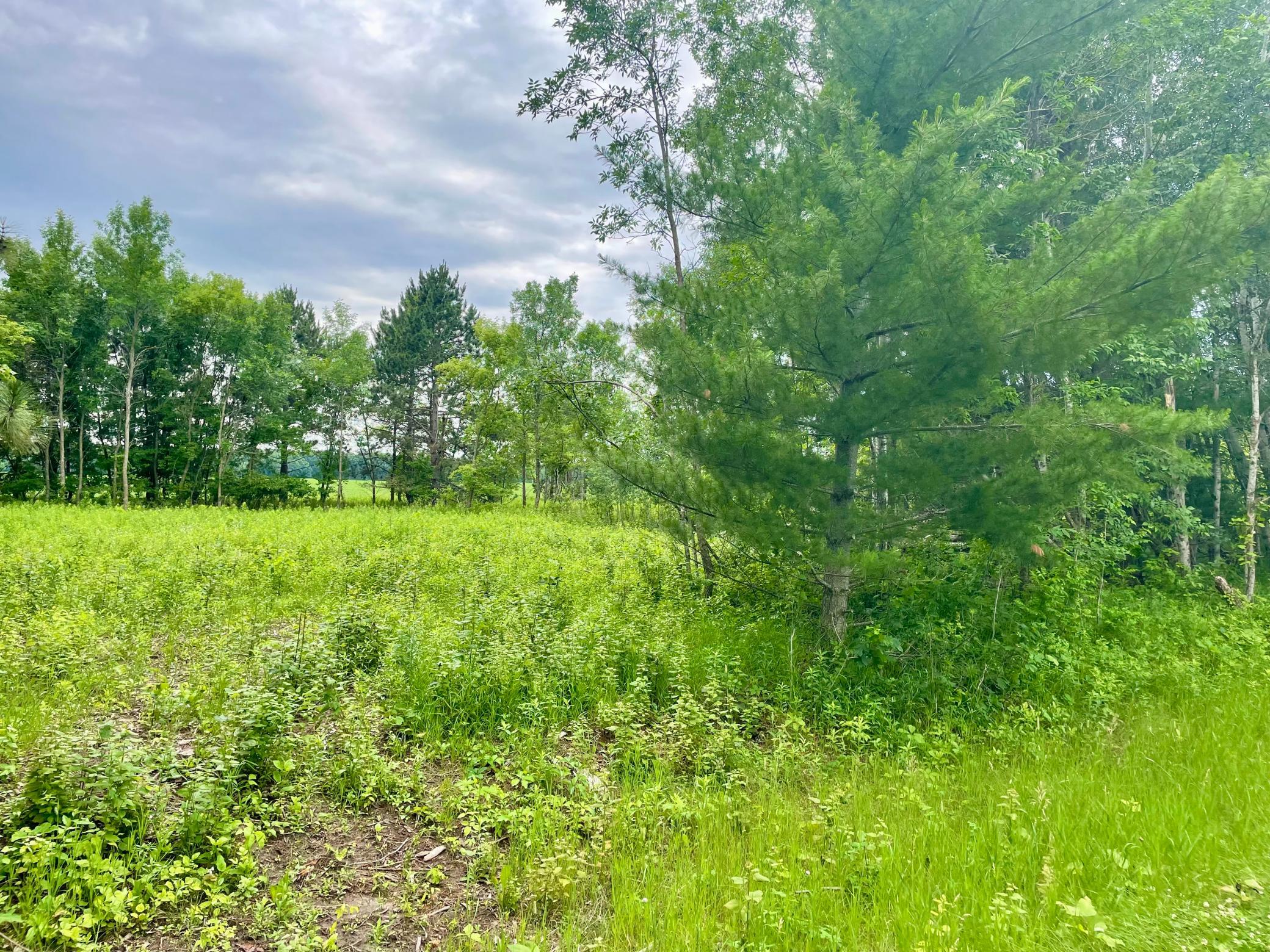 Tbd Pacer Drive Property Photo 7