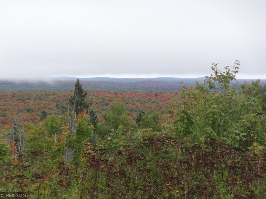 5292 Morning Star Loop Property Photo 5