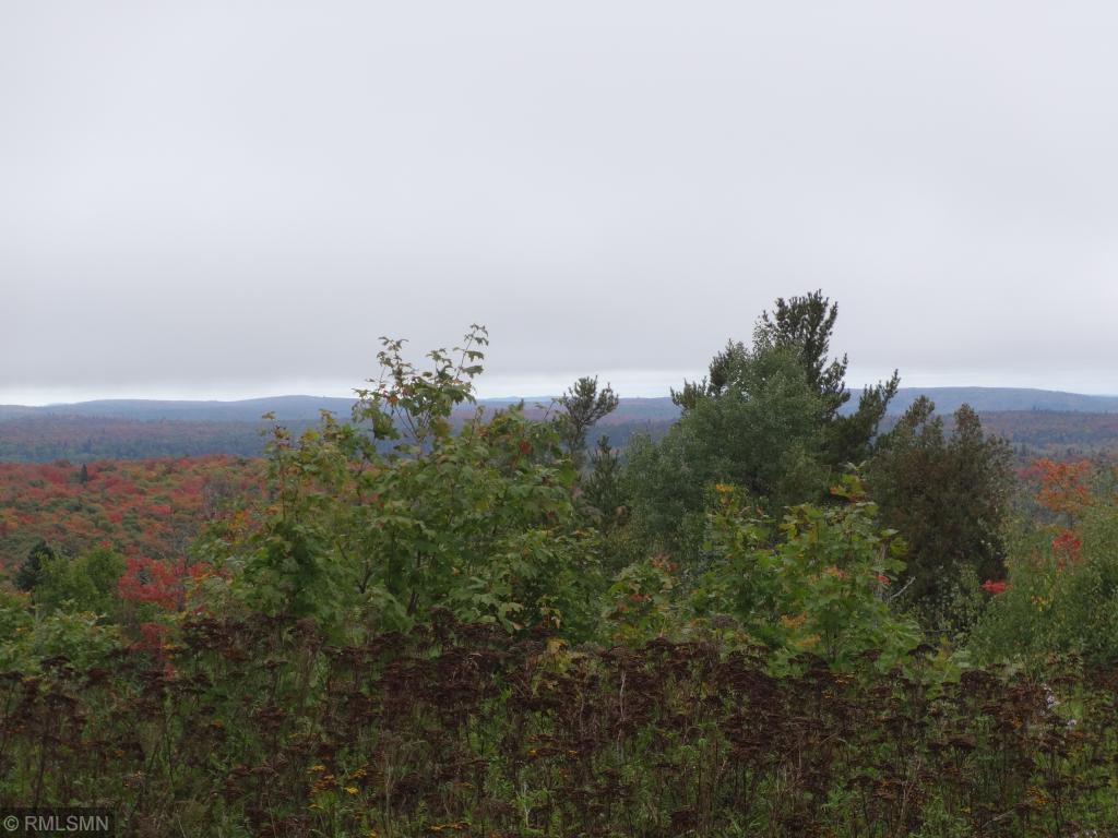 5292 Morning Star Loop Property Photo 8