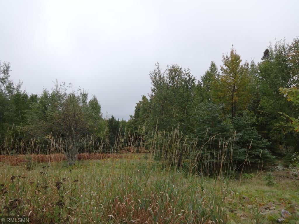 5292 Morning Star Loop Property Photo 11