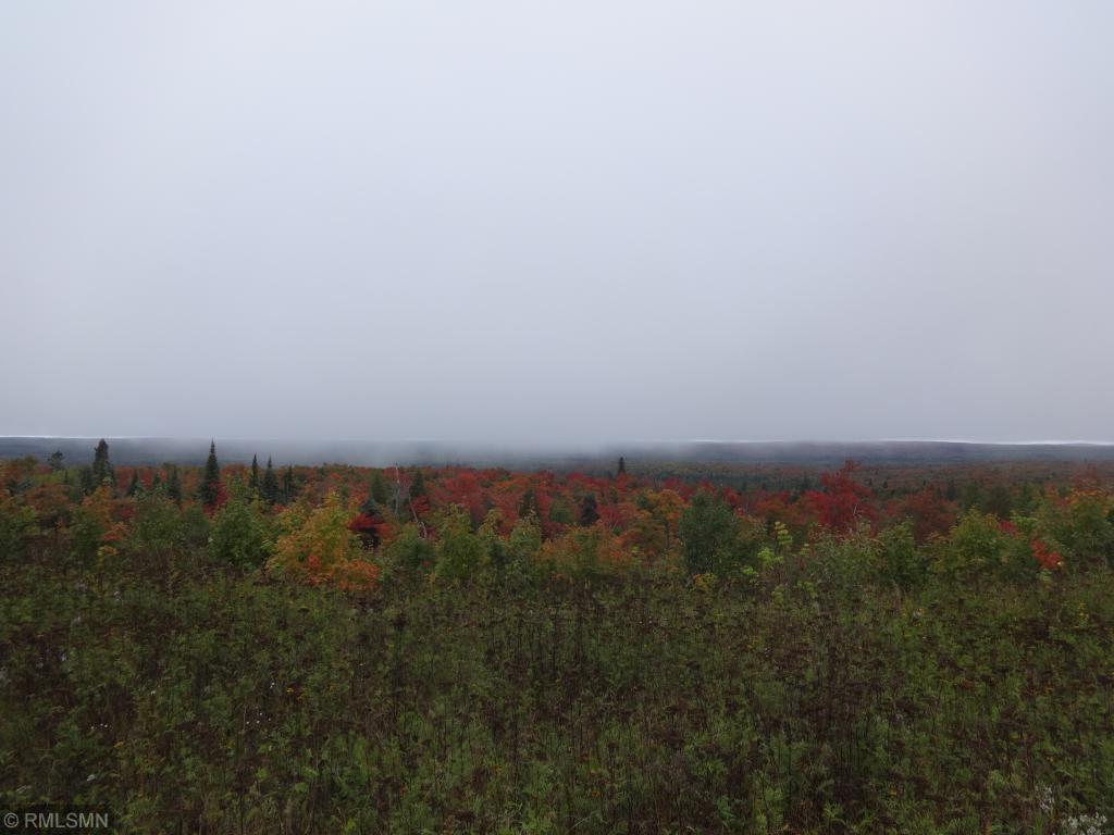 5292 Morning Star Loop Property Photo 15