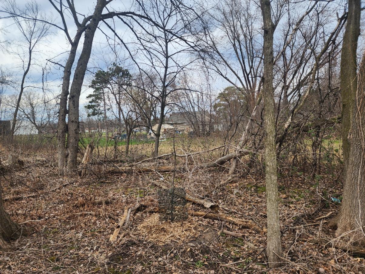 Tbd Eldridge Avenue E Property Photo 3
