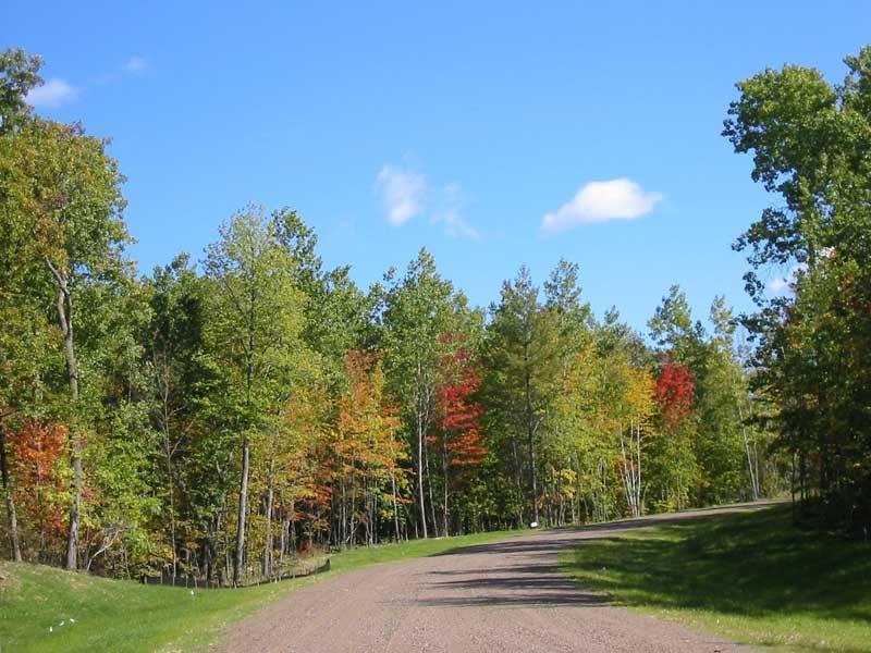 Xxx Lot 3 96th Avenue Property Photo 4