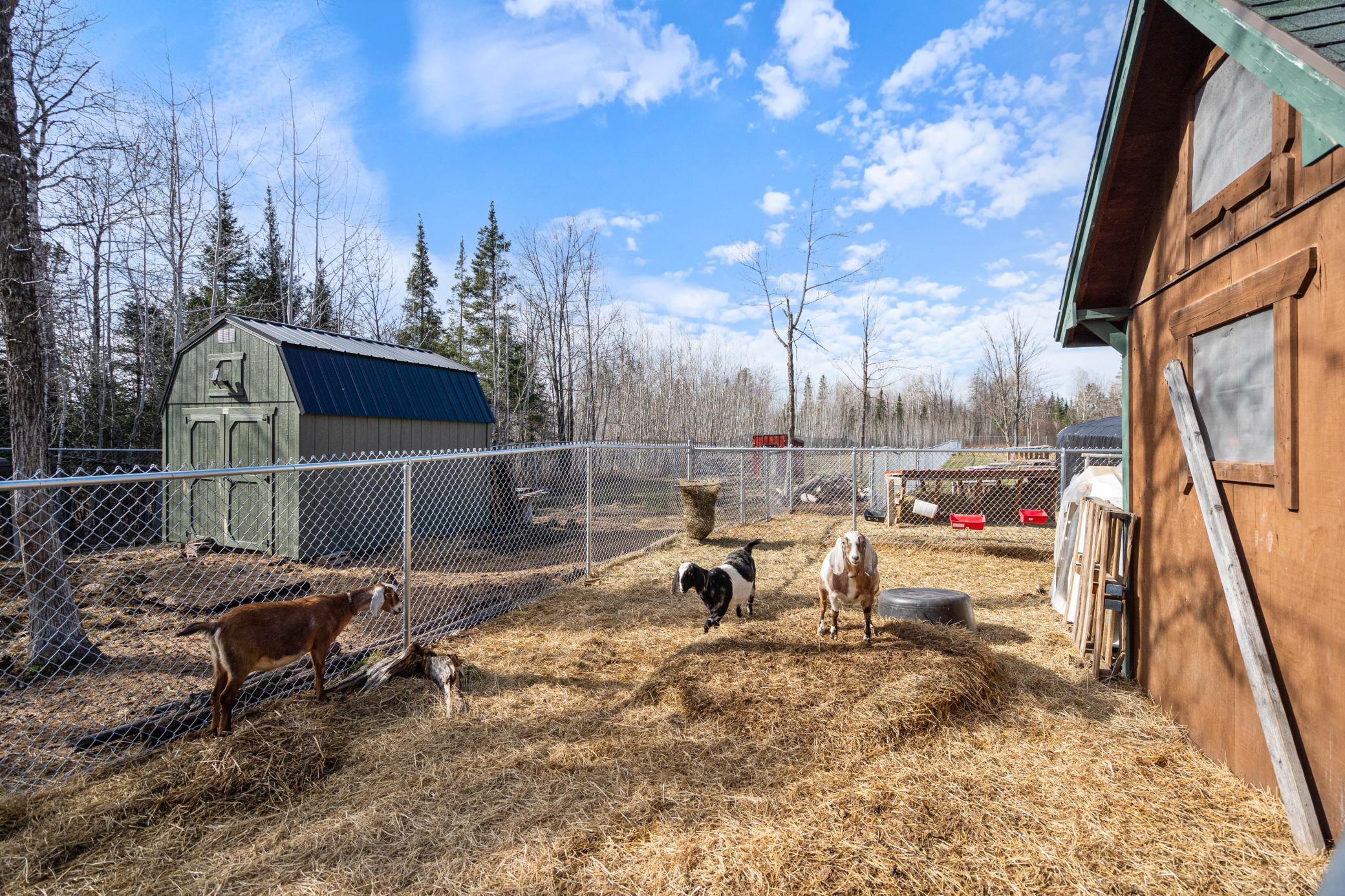 3521 Fire Trail Property Photo 47