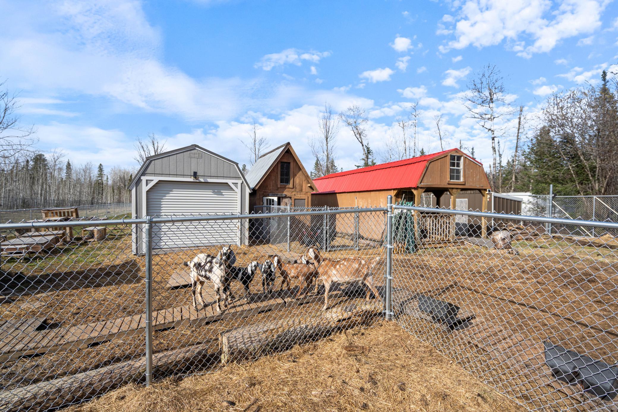 3521 Fire Trail Property Photo 50