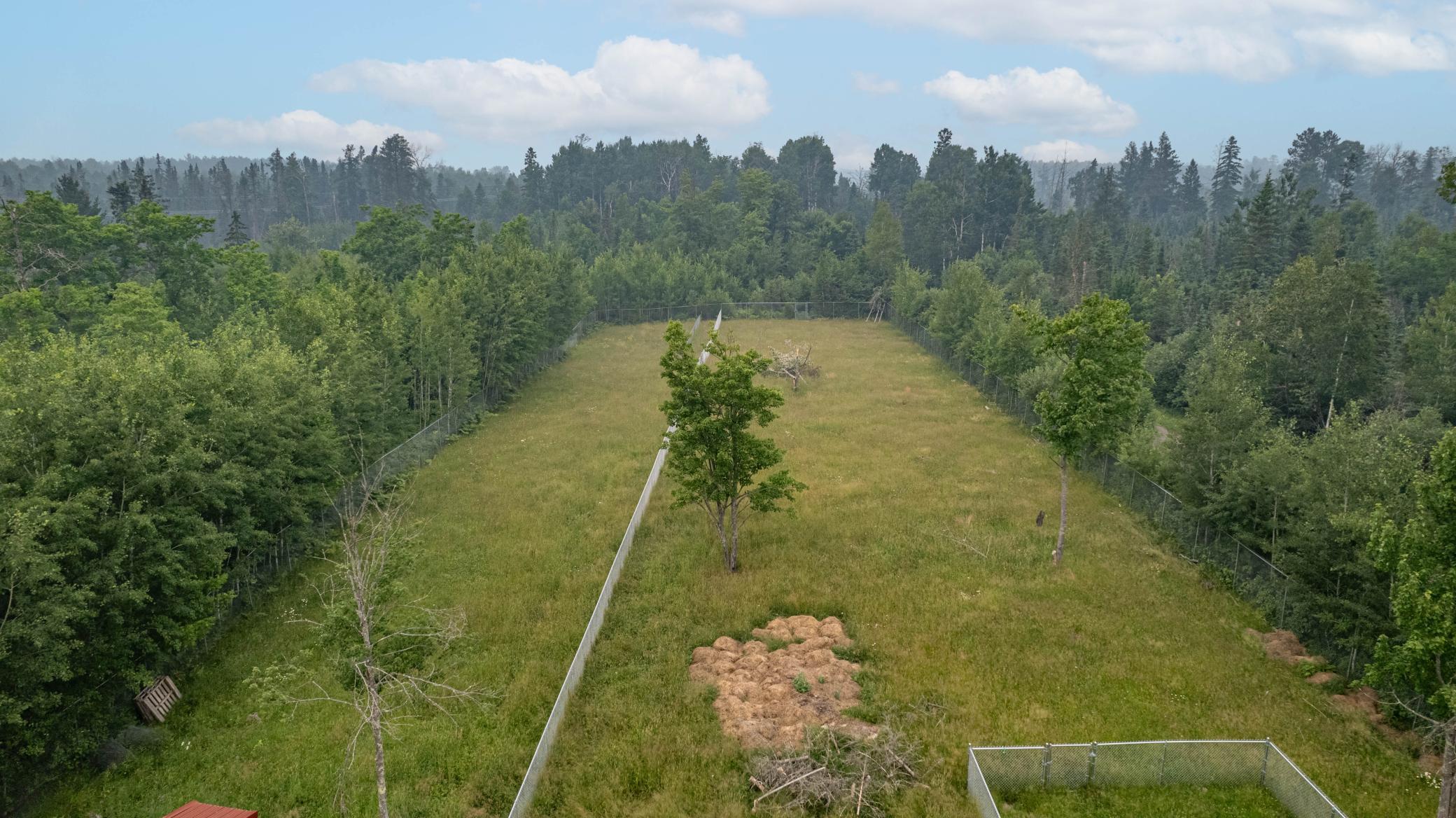 3521 Fire Trail Property Photo 60