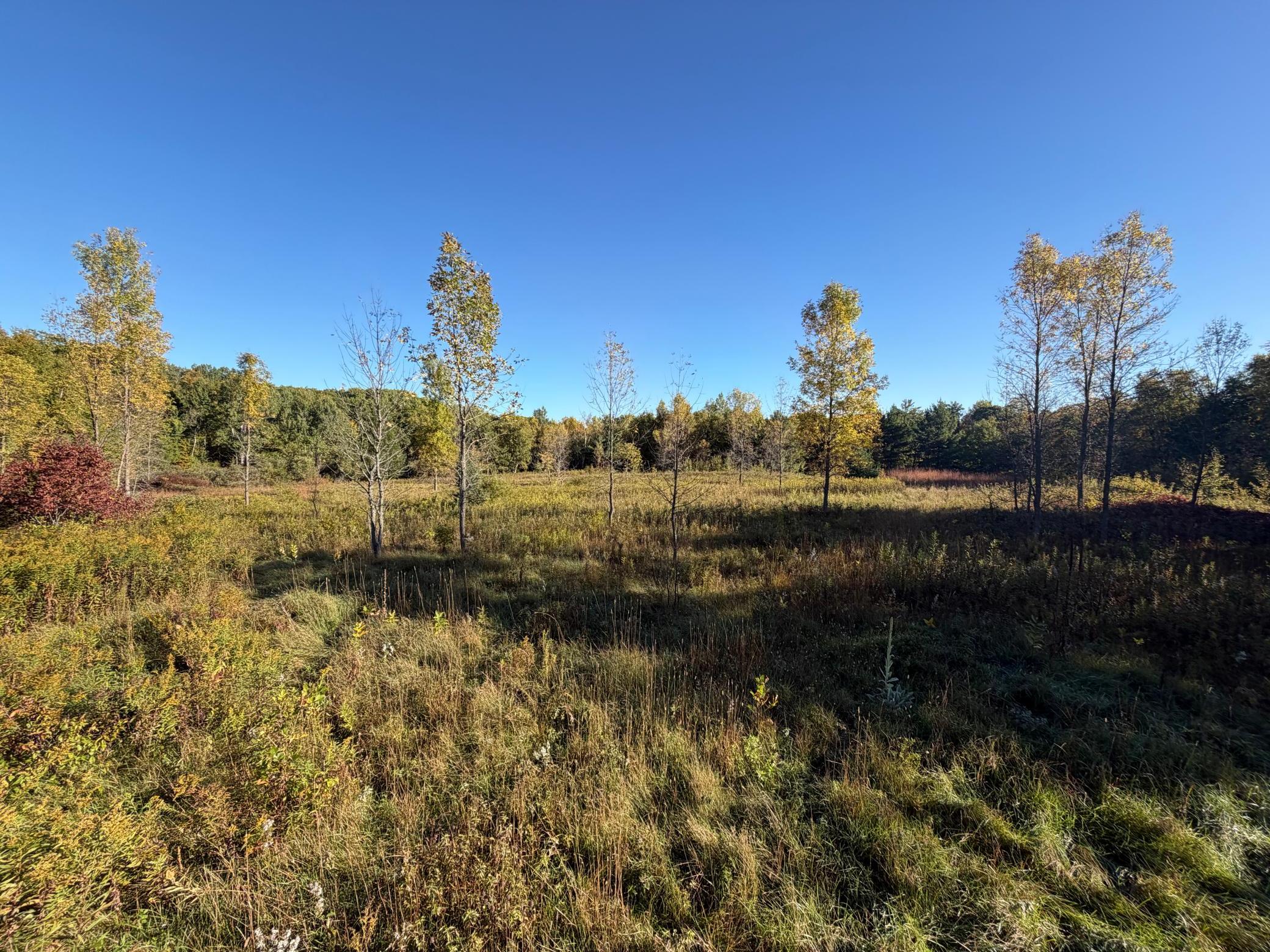 Tbd Riverview Place Property Photo 3