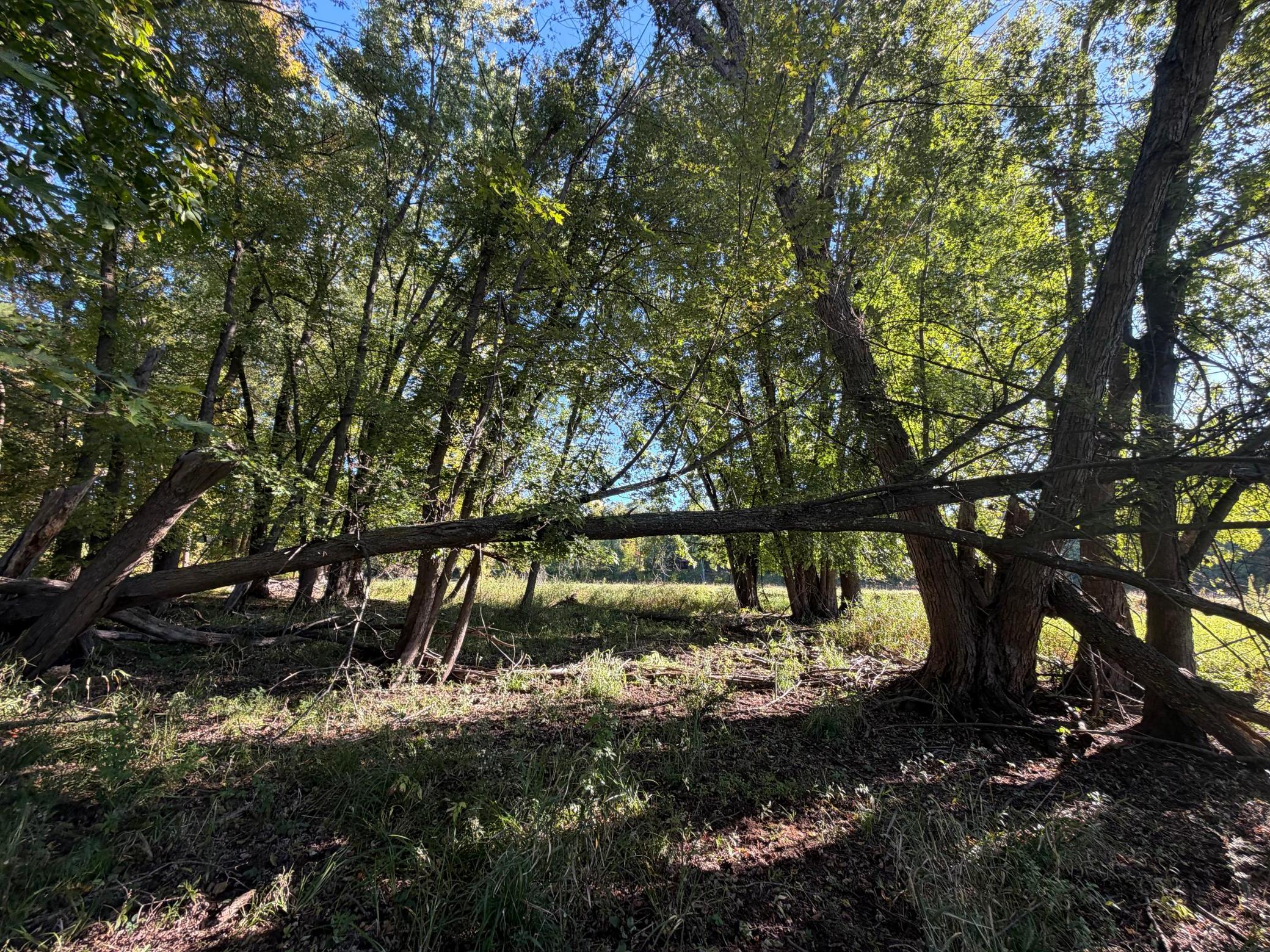 Tbd Riverview Place Property Photo 7