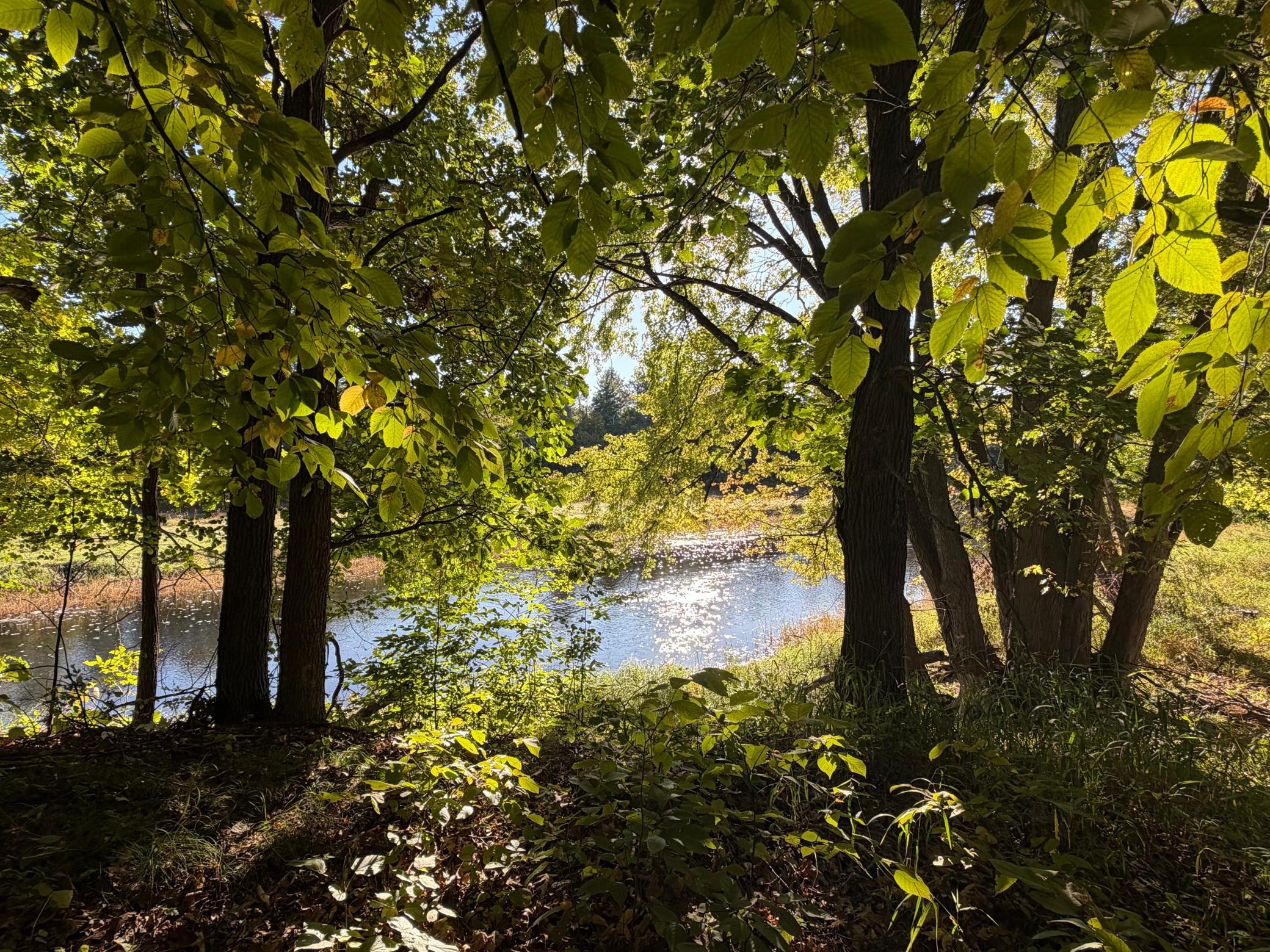 Tbd Riverview Place Property Photo 8