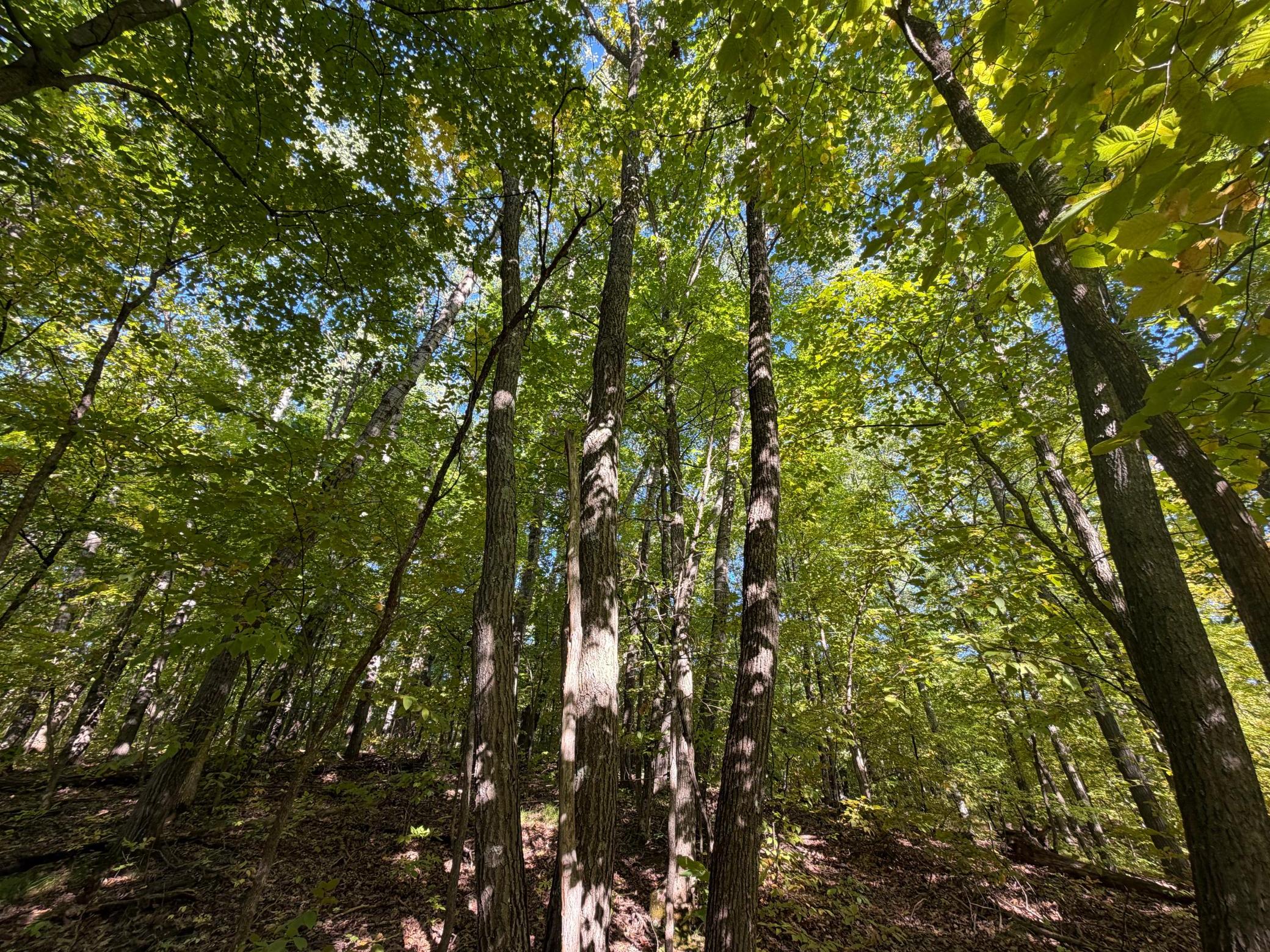 Tbd Riverview Place Property Photo 16