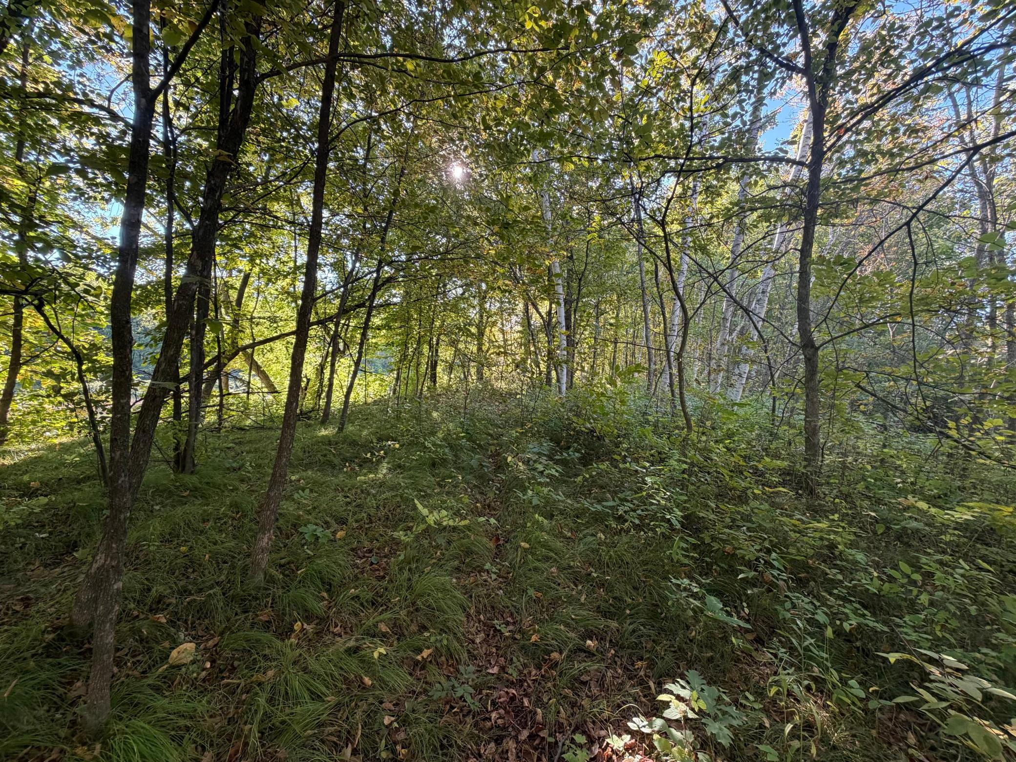 Tbd Riverview Place Property Photo 17