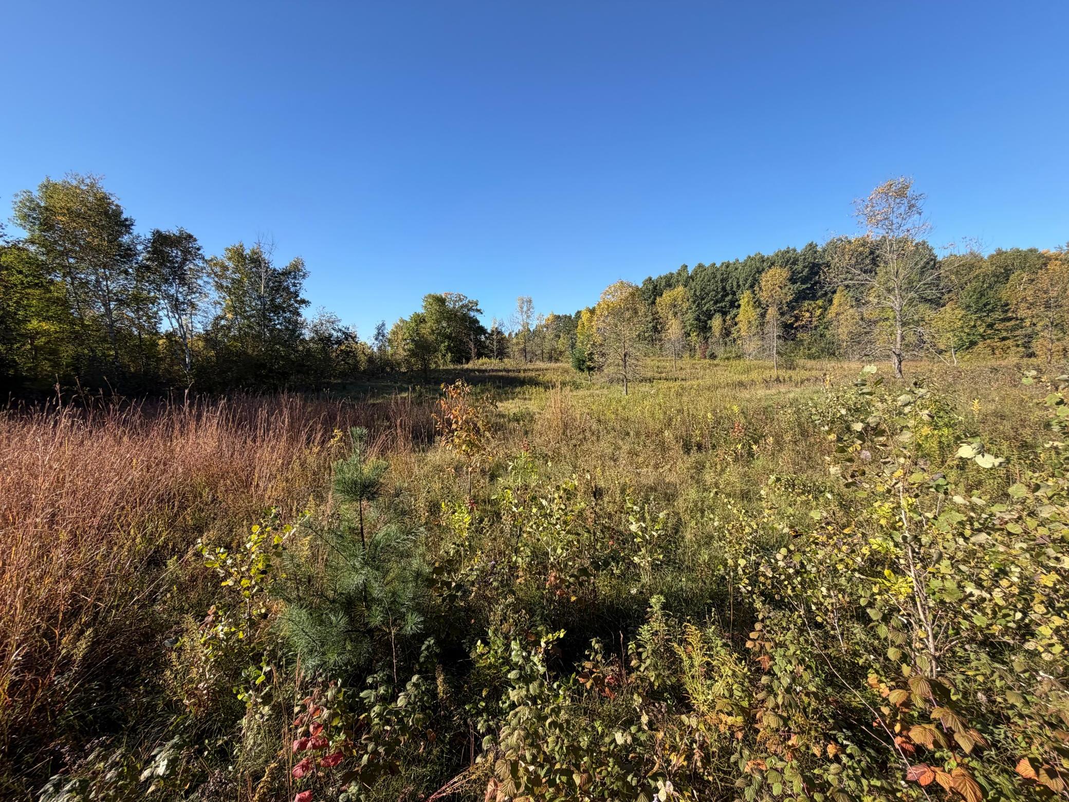 Tbd Riverview Place Property Photo 19