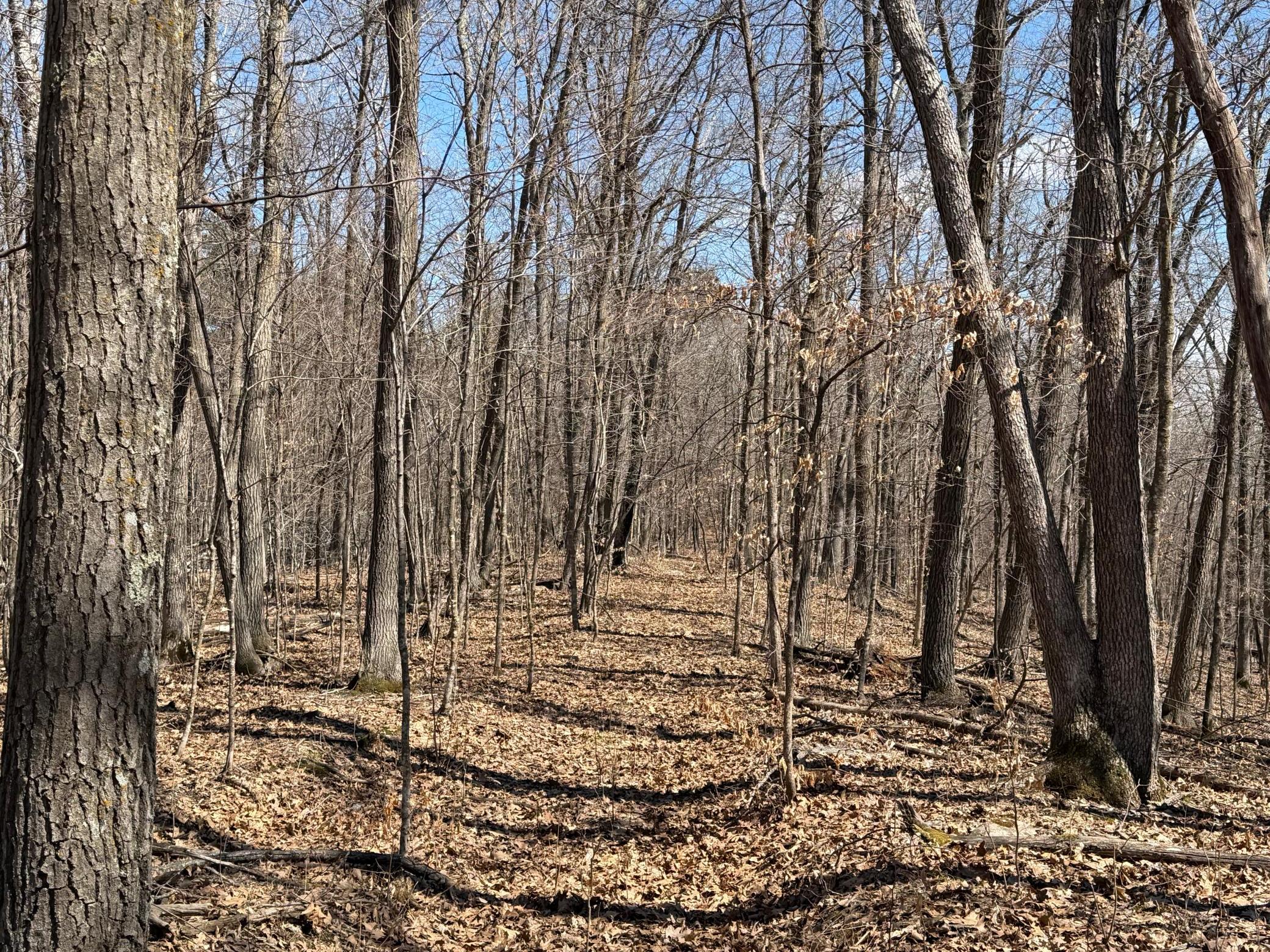 Tbd Riverview Place Property Photo 35