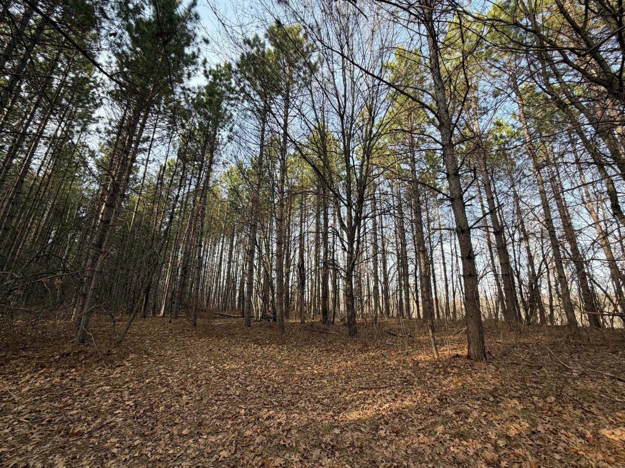 Tbd Riverview Place Property Photo 47