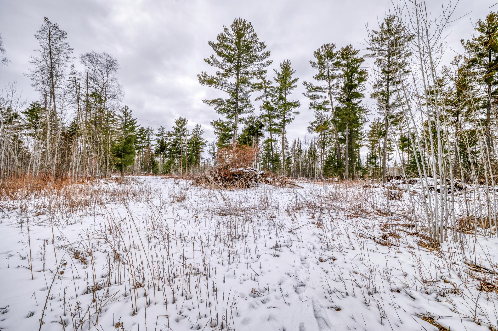 25524 Smokey Hollow Drive Property Photo 18