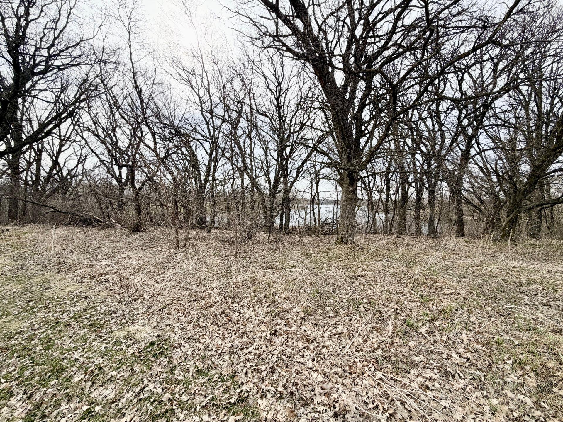39773 444th Street Property Photo 4