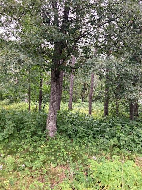 Lot 39 & 40 Owl Circle Property Photo 1