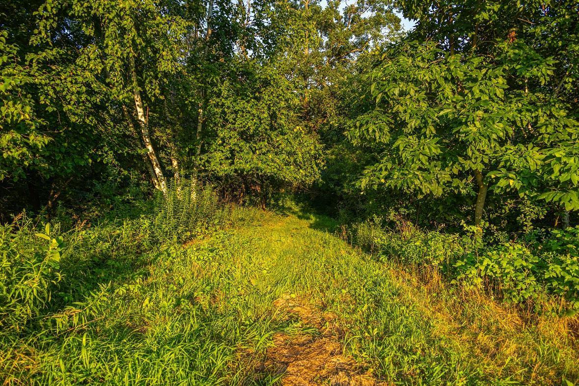 Tbd County Road S Property Photo 3
