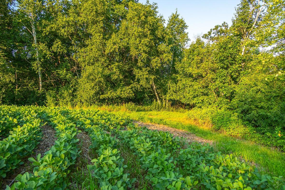 TBD County S Road Property Photo 1