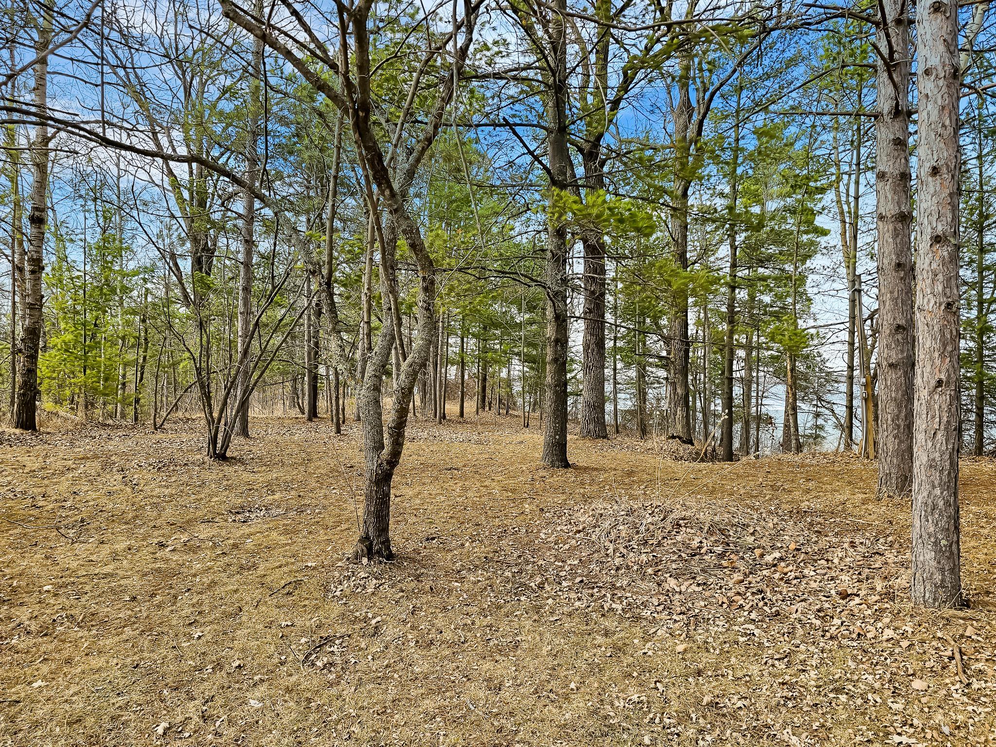 31489 Co Hwy 35 Property Photo 10