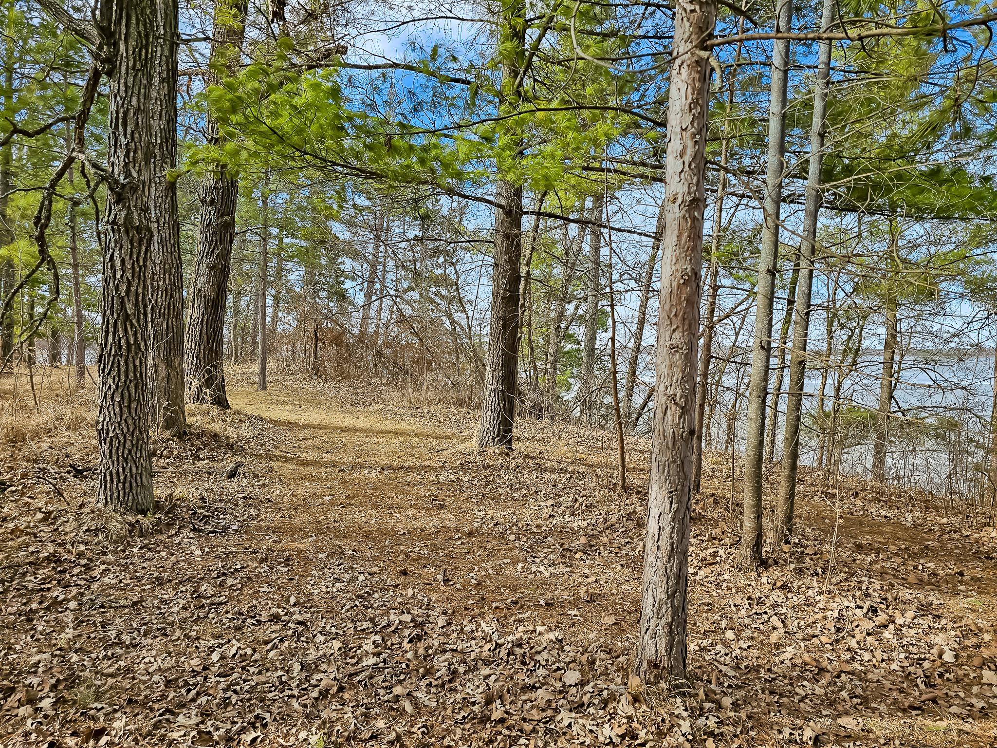 31489 Co Hwy 35 Property Photo 11