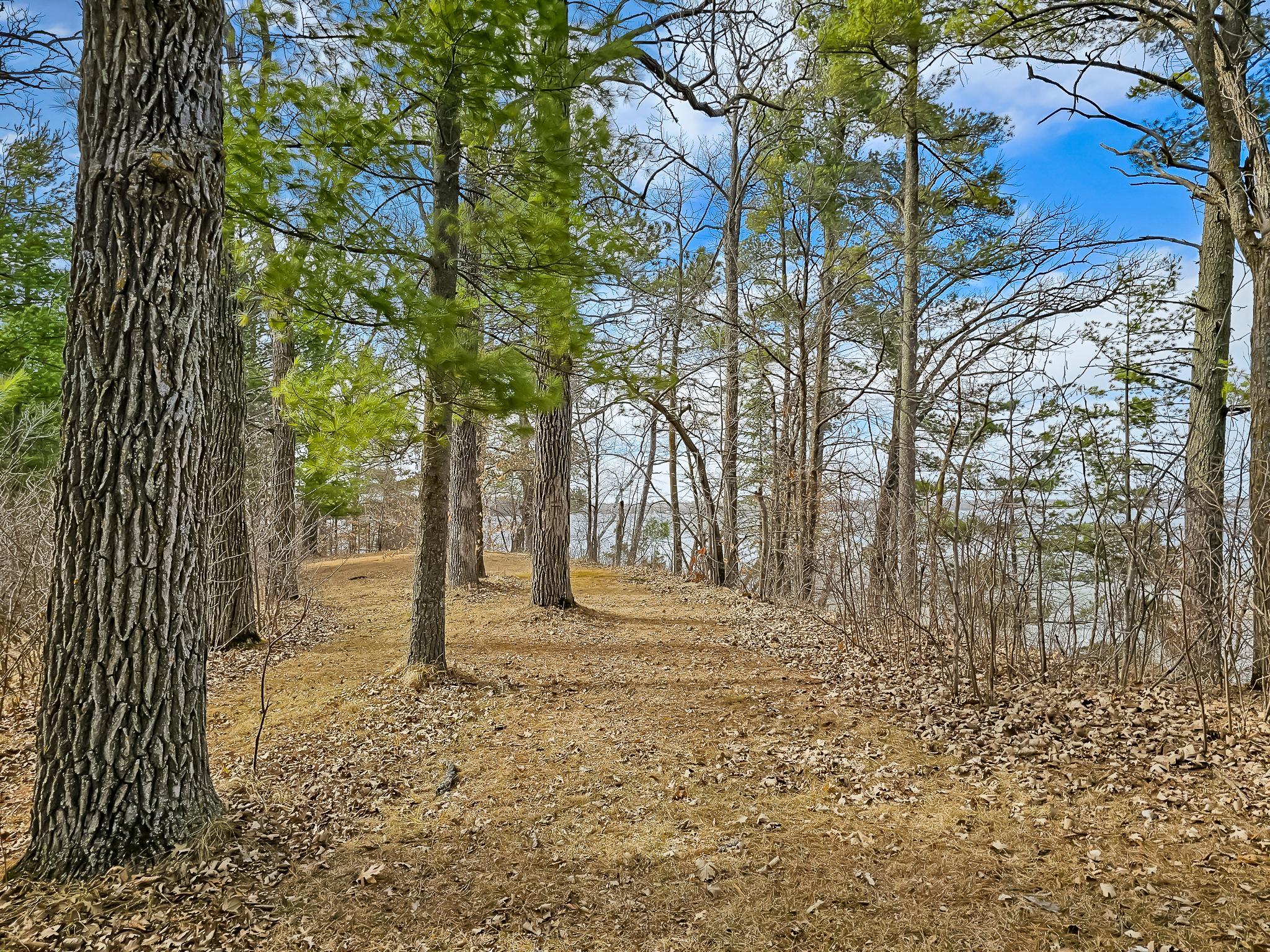 31489 Co Hwy 35 Property Photo 12