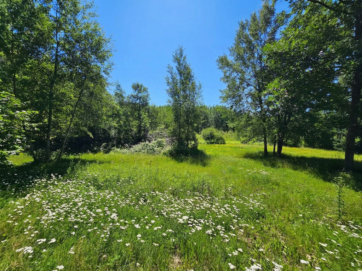 40776 Mary Lake Road Property Photo 29