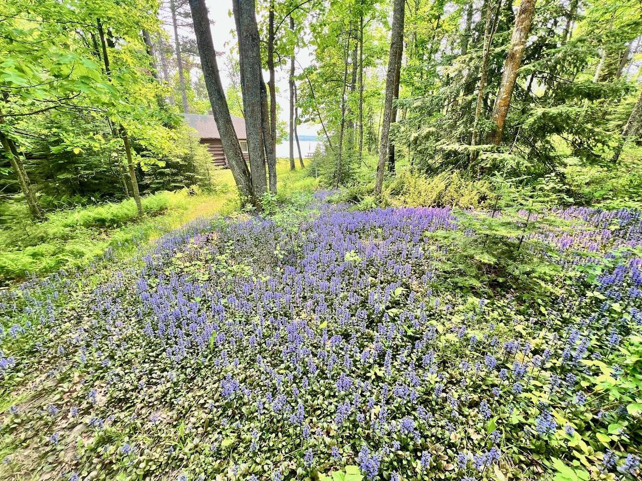 Tbd Malmstrom Island Property Photo 24