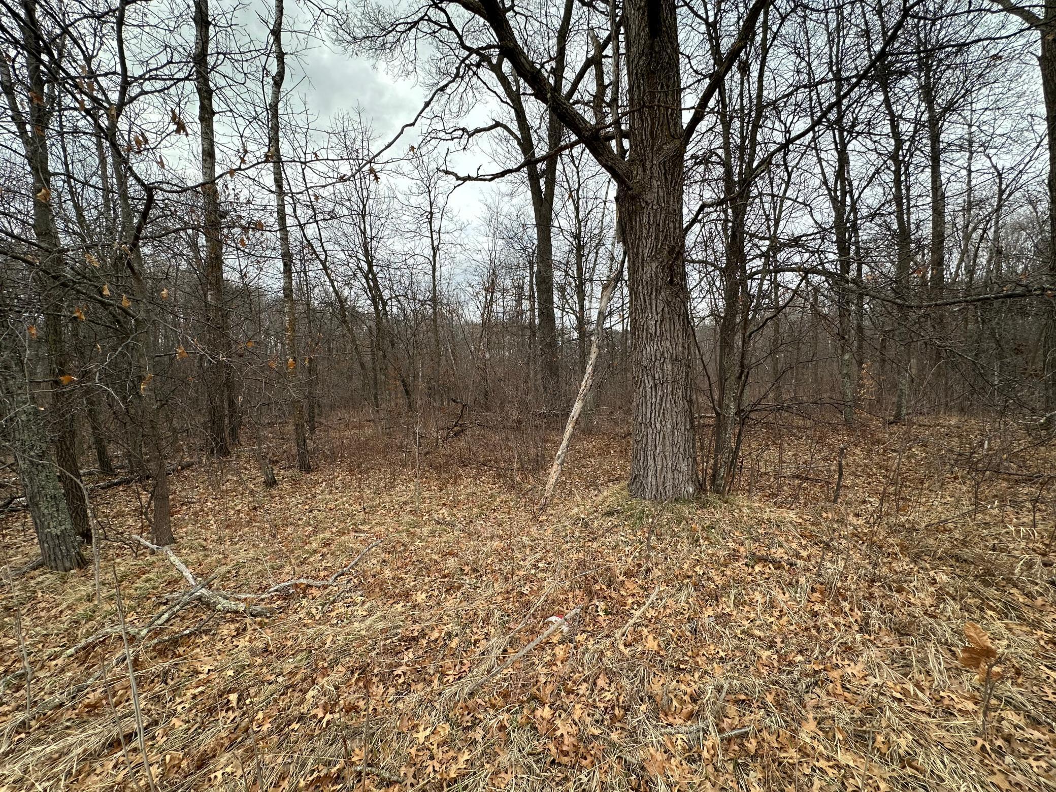 Lot 25 County Rd 11 Property Photo 1