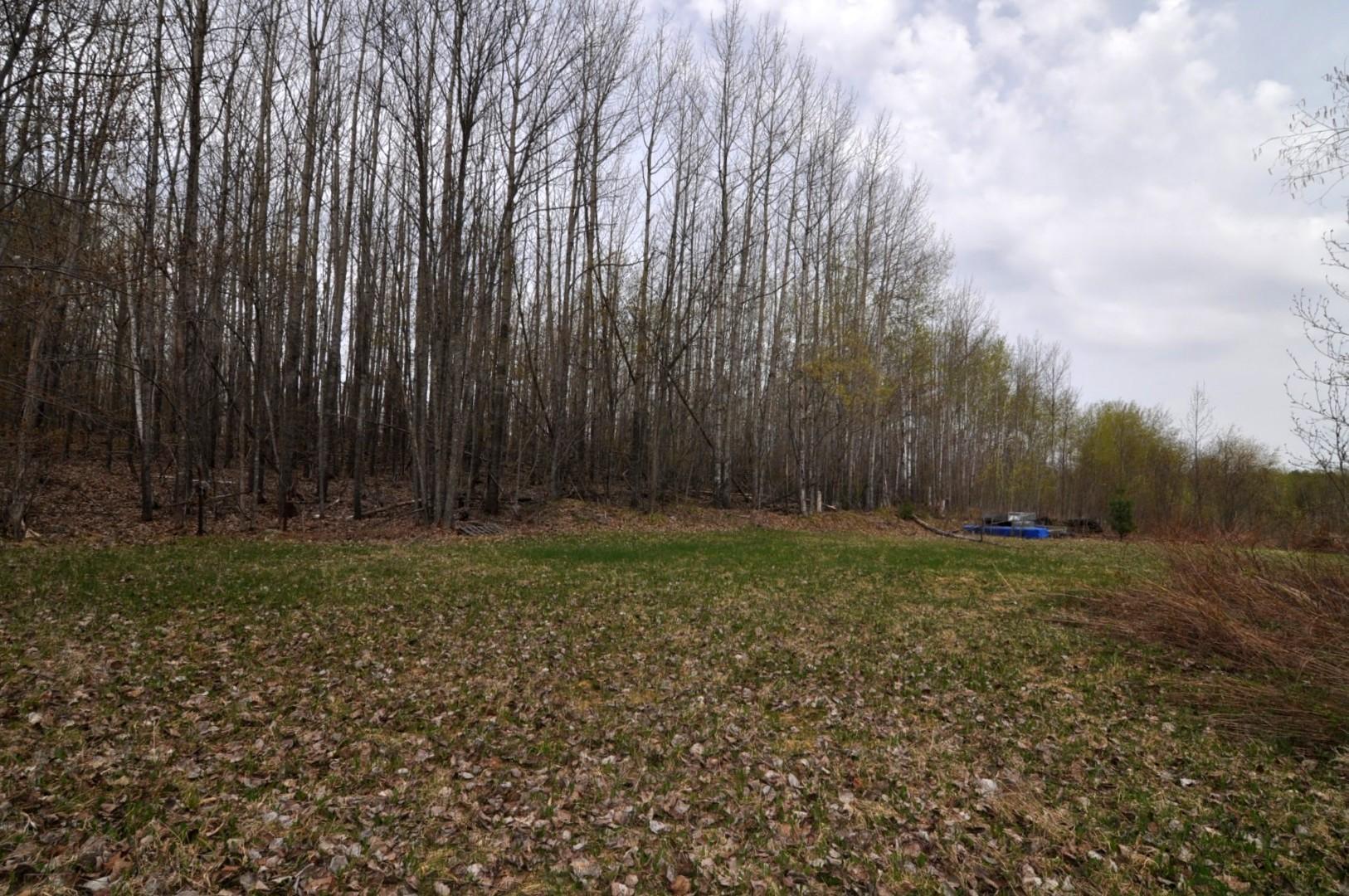 8525 State 371 Nw Property Photo 41