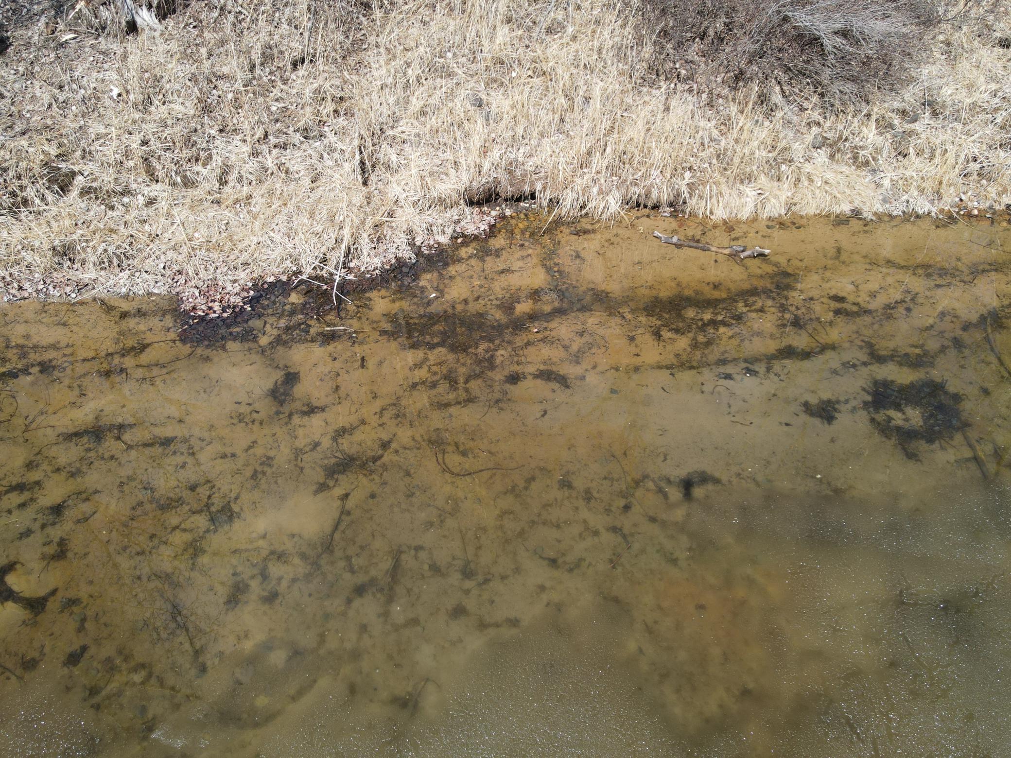 Tbd Wolf Creek Road Property Photo 17