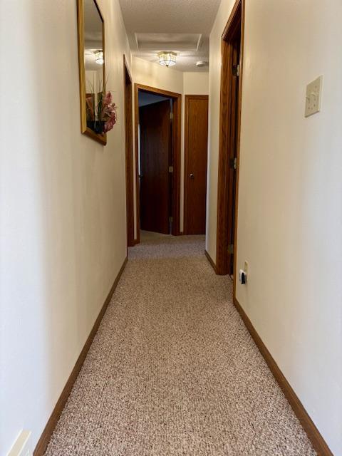 18680 Elk Loop Property Photo 11