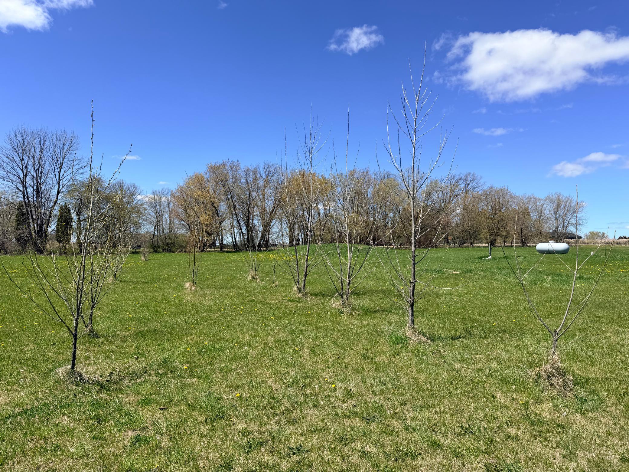 62362 450th Street Property Photo 4