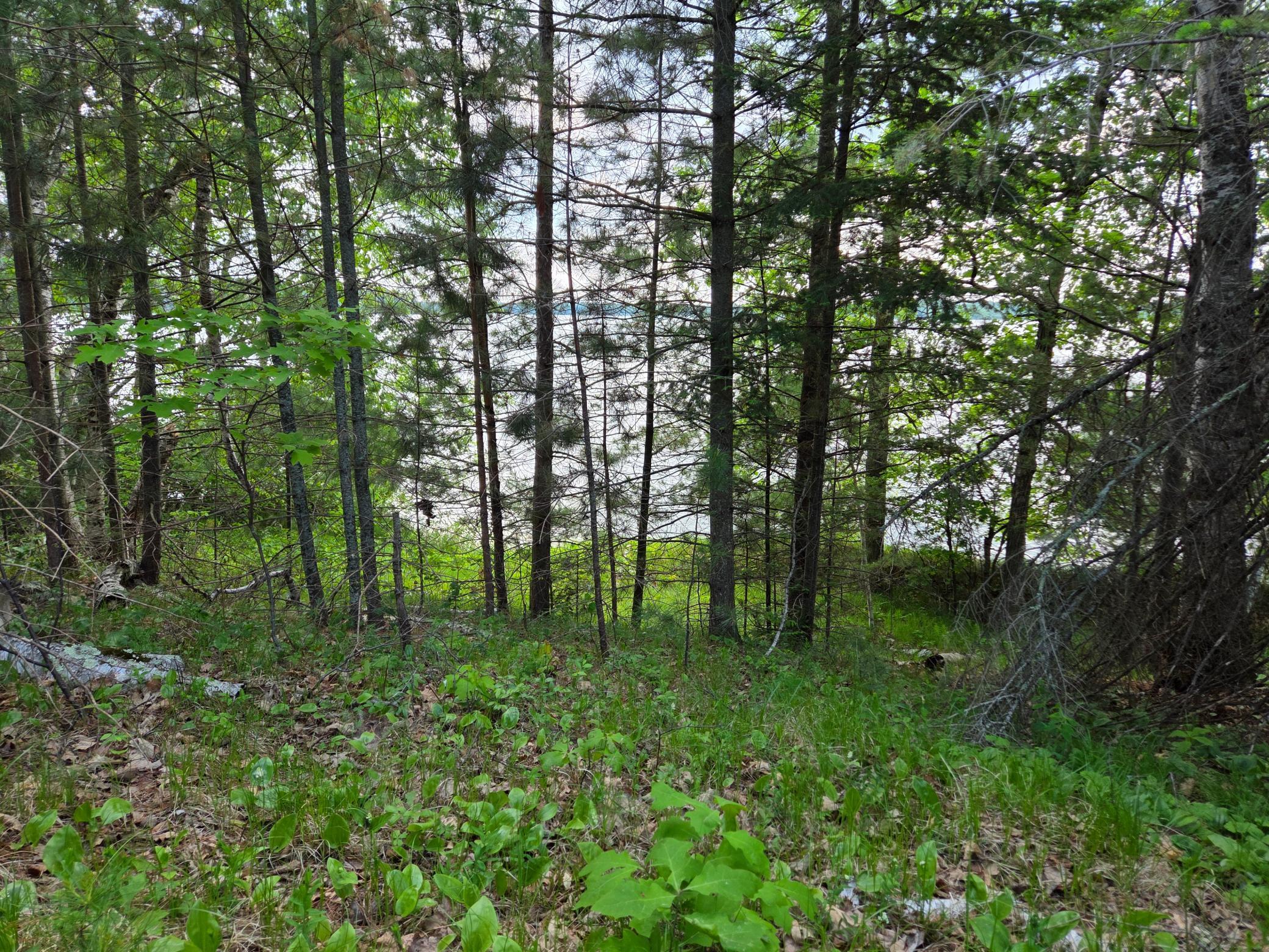 Tbd Andrusia Road Se Lot 7, Block 1 Property Photo 8