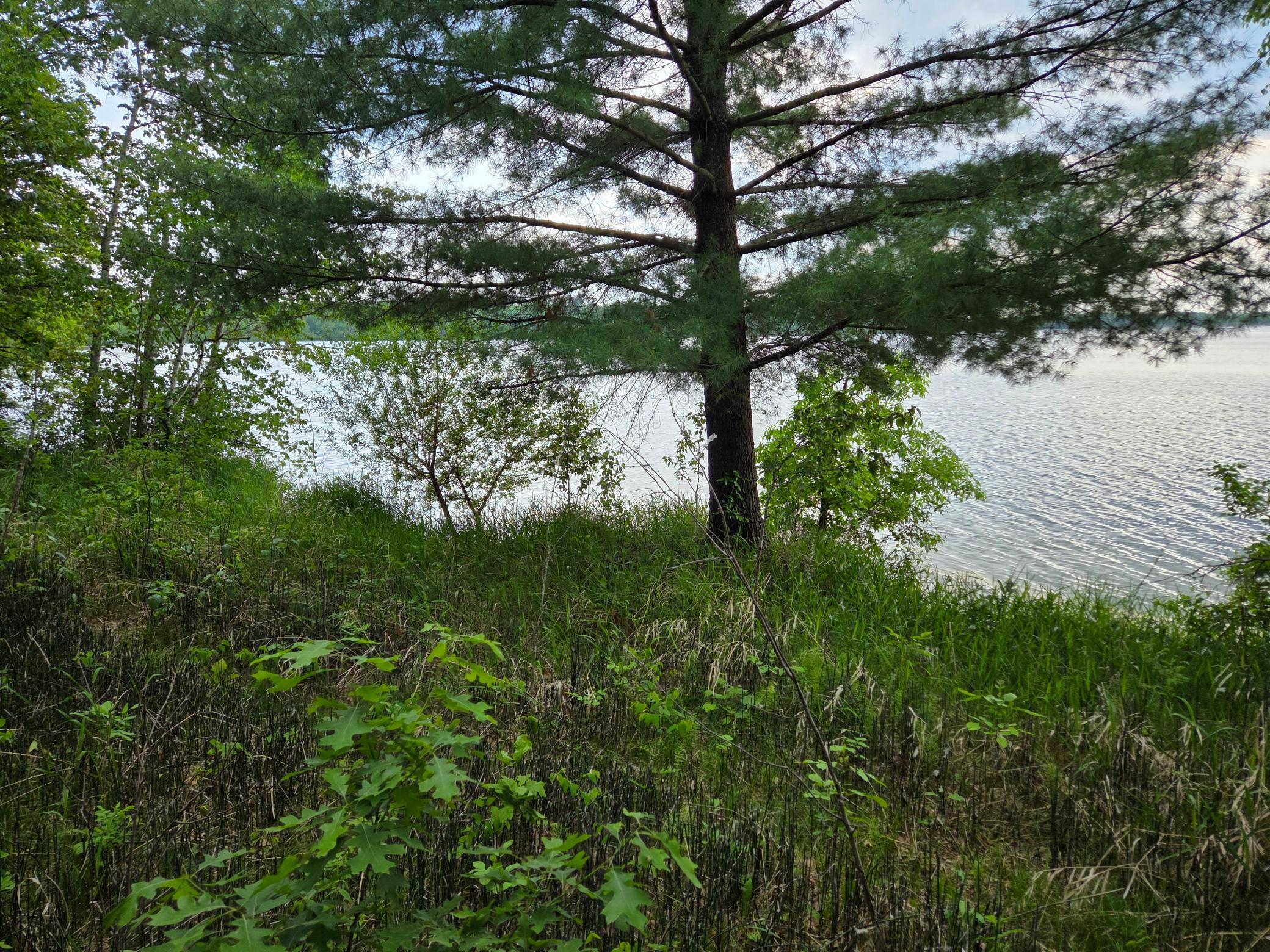 Tbd Andrusia Road Se Lot 7, Block 1 Property Photo 9