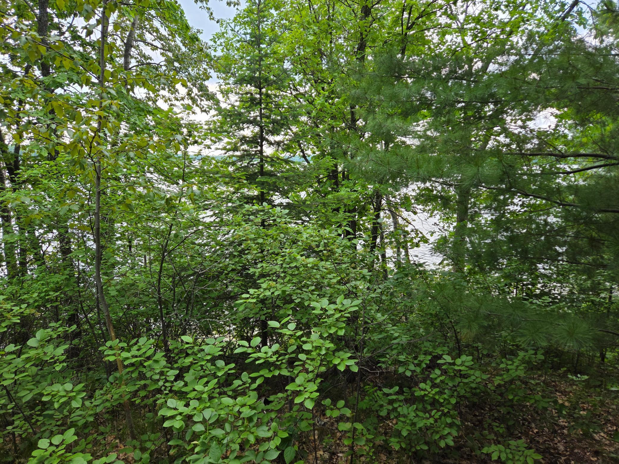 Tbd Andrusia Road Se Lot 7, Block 1 Property Photo 14