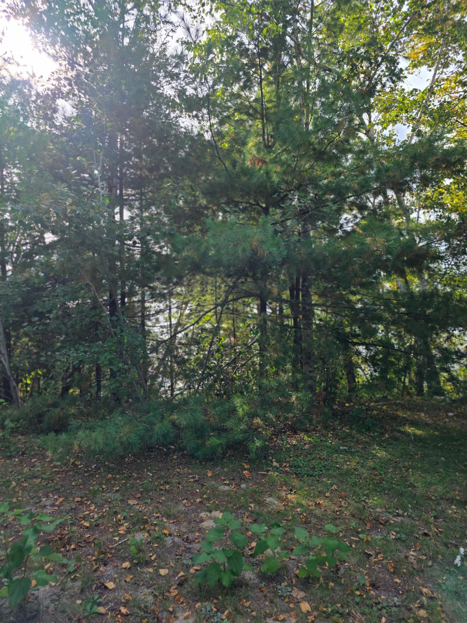 Tbd Andrusia Road Se Lot 7, Block 1 Property Photo 15