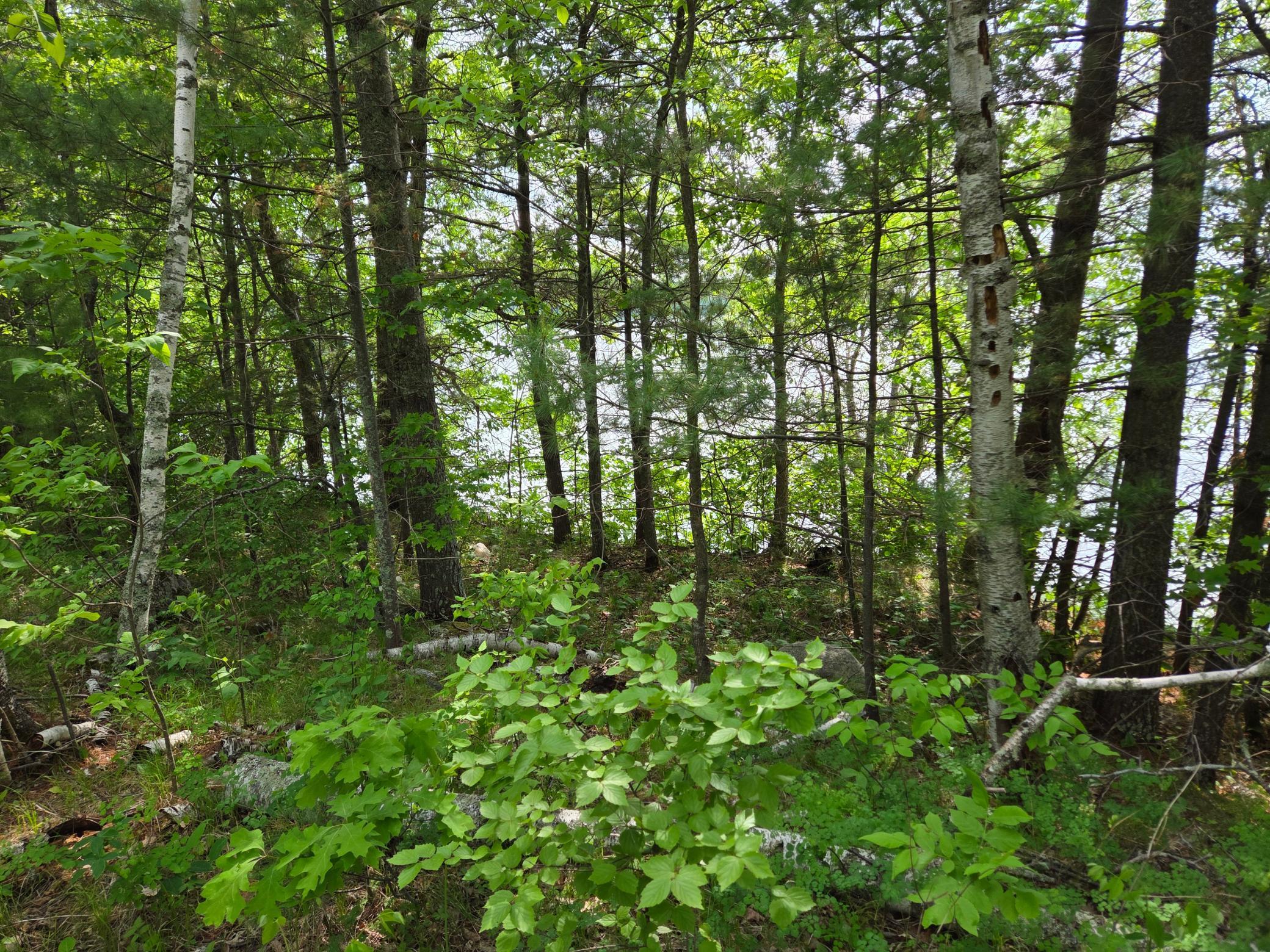 Tbd Andrusia Road Se Lot 4, Block 1 Property Photo 15