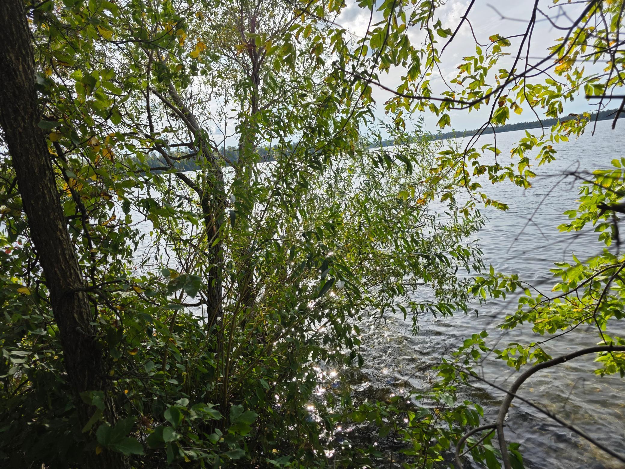 Tbd Andrusia Road Se Lot 4, Block 1 Property Photo 16