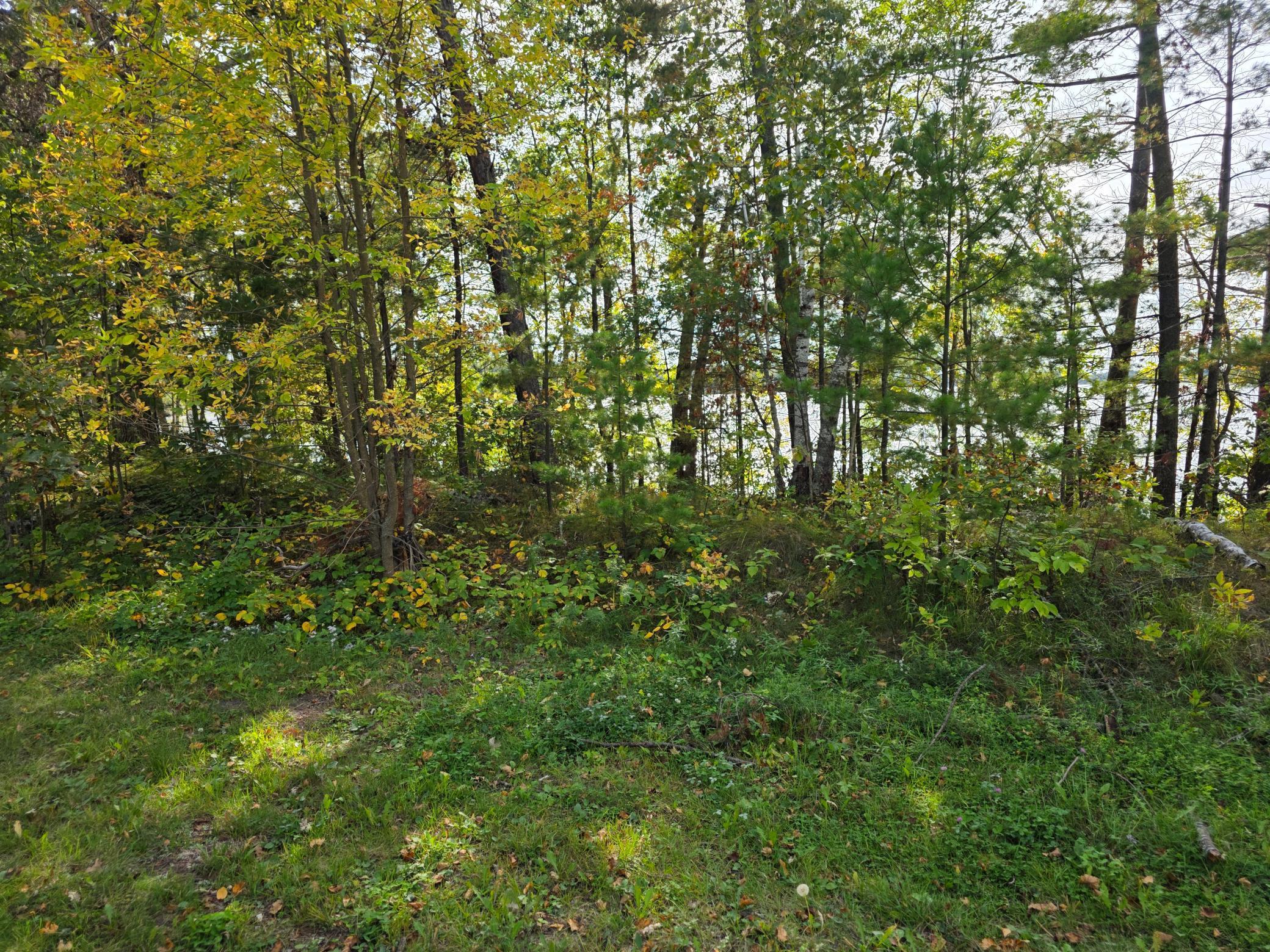 Tbd Andrusia Road Se Lot 4, Block 1 Property Photo 17