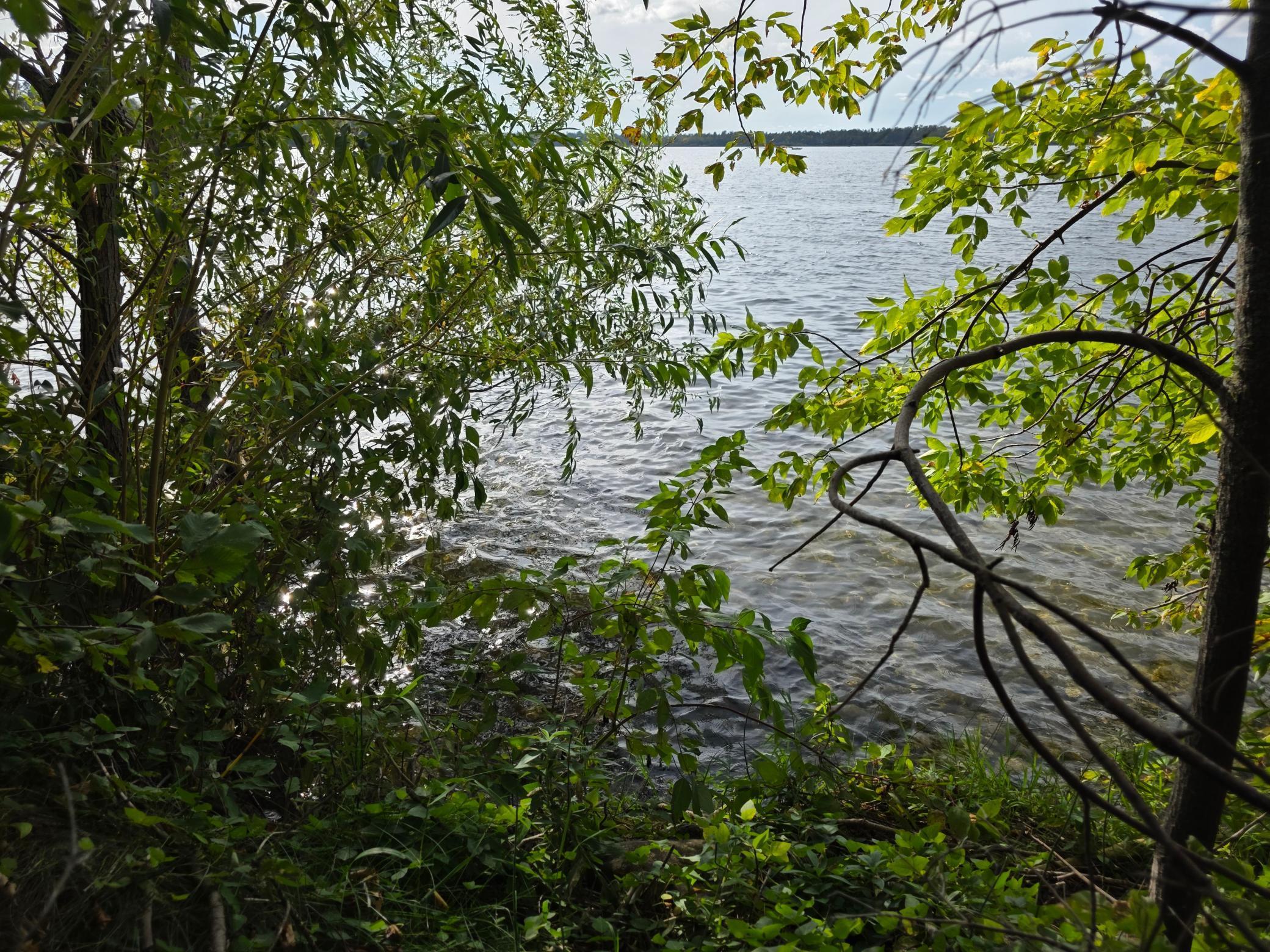 Tbd Andrusia Road Se Lot 4, Block 1 Property Photo 23