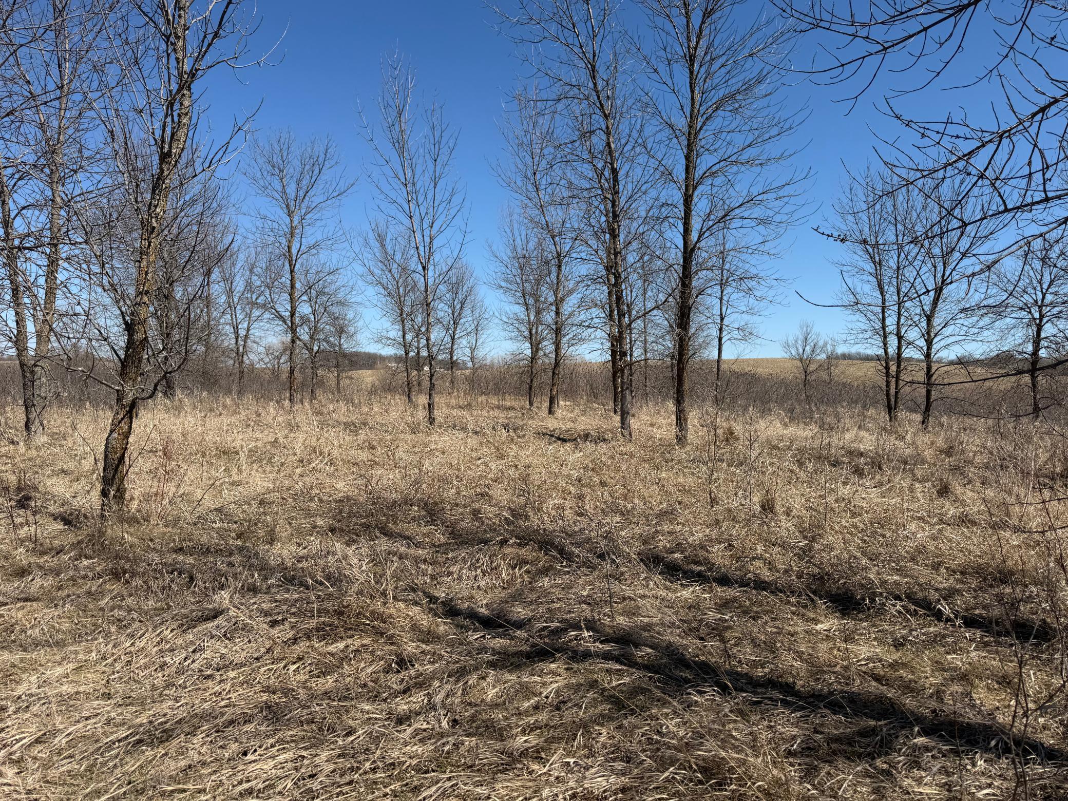 Tbd Co Hwy 18 Property Photo 37