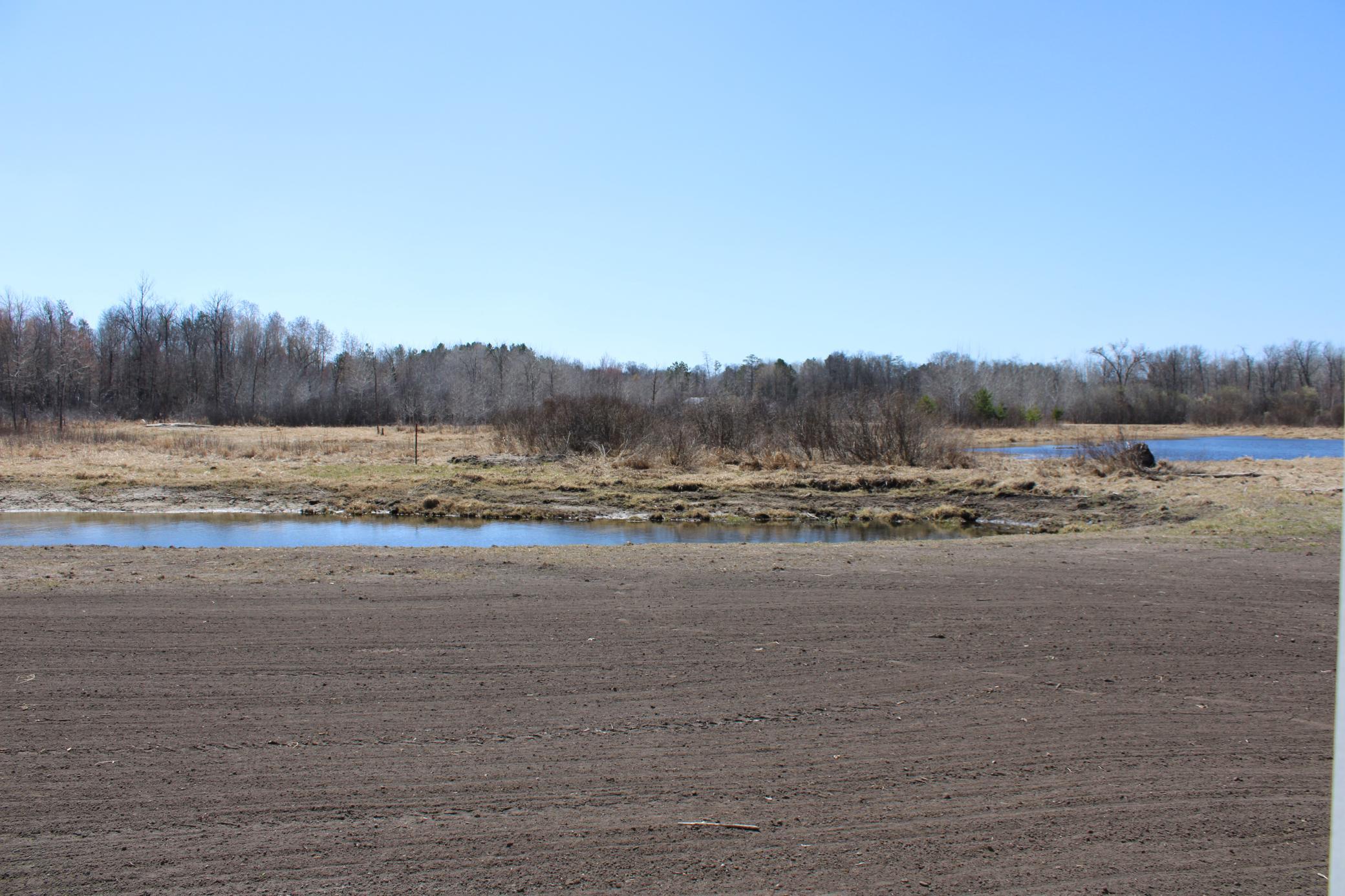 9299 Wise Road Property Photo 25
