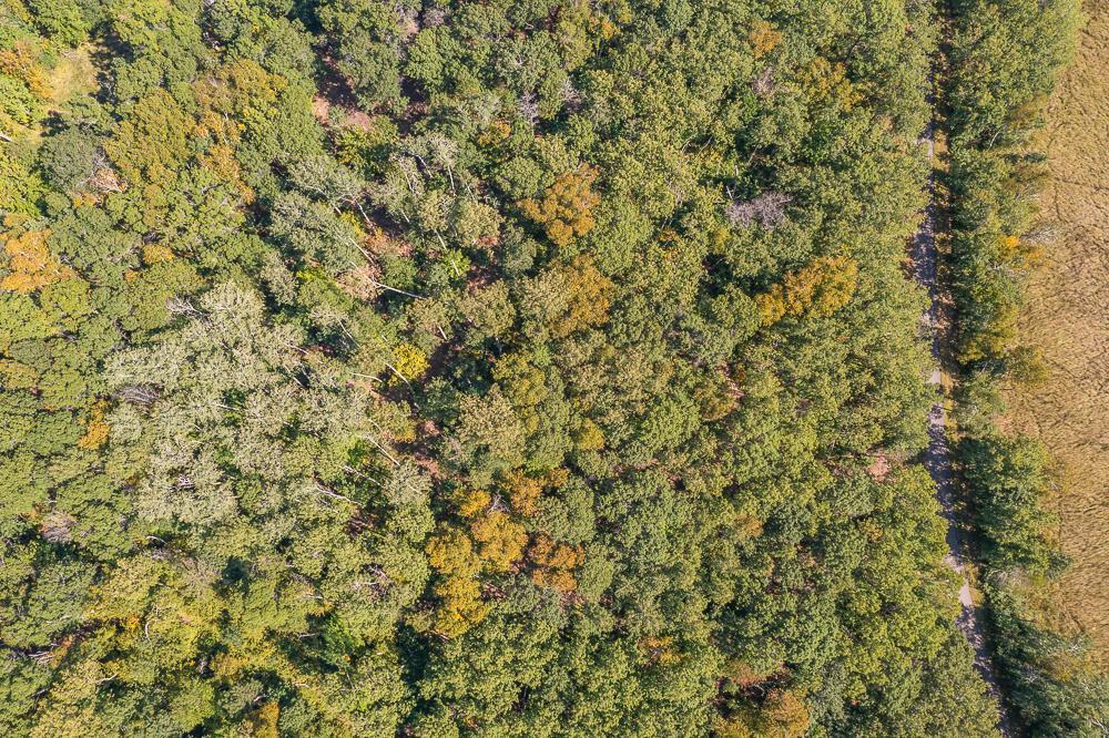 Tract B Tbd Little Pine Road Property Photo 6