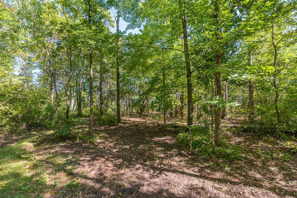 Tract B Tbd Little Pine Road Property Photo 8